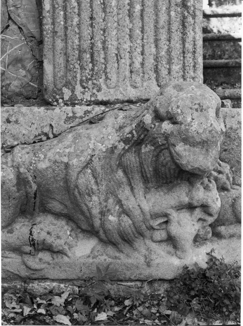 leone con testa di vitello (rilievo) - bottega campana (prima metà sec. XIII)