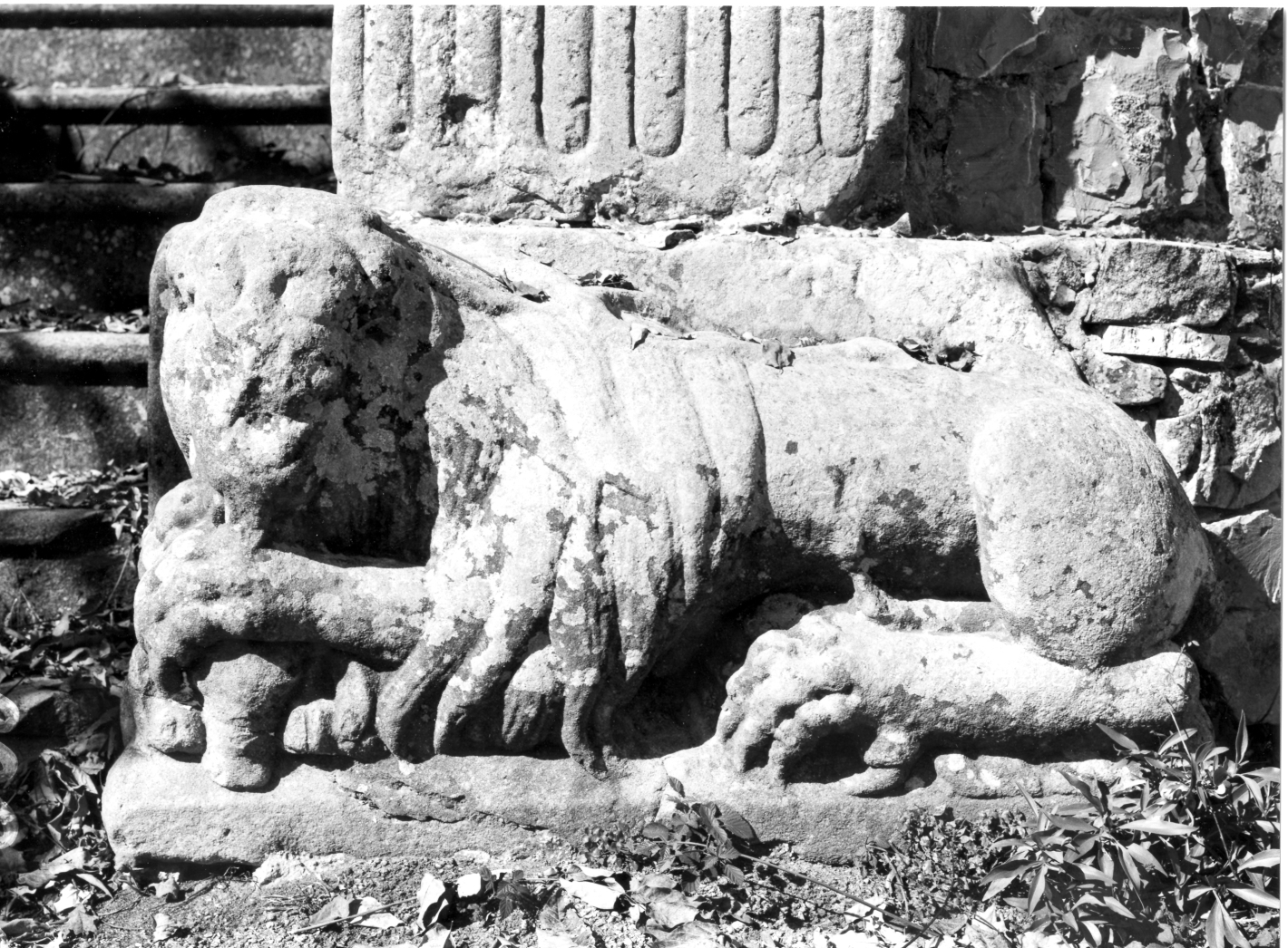 leone (rilievo) - bottega campana (prima metà sec. XIII)