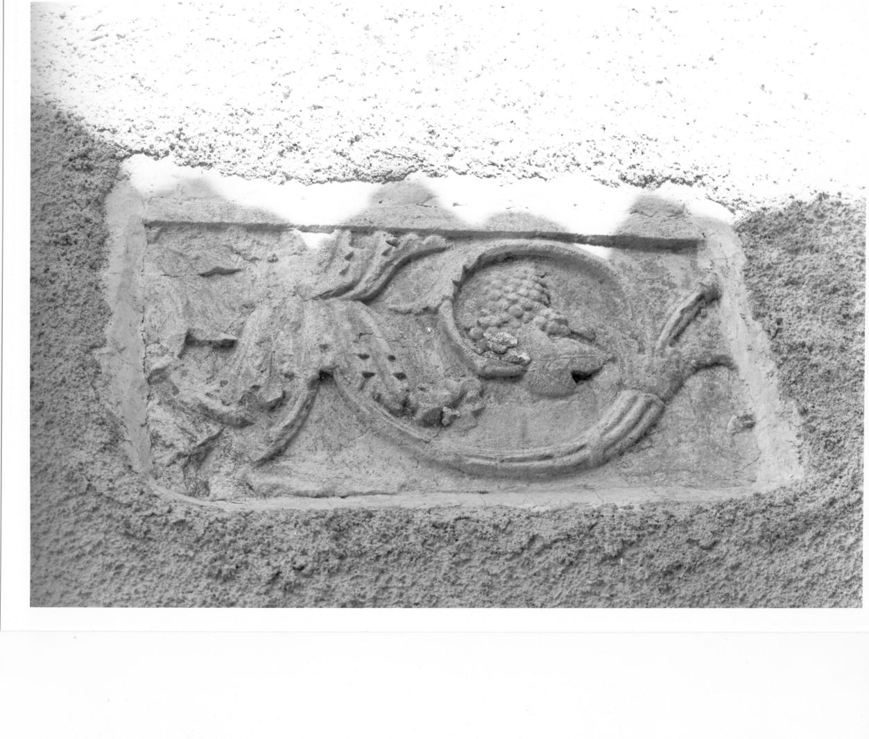 motivi decorativi vegetali (rilievo, frammento) - bottega campana (sec. XII)