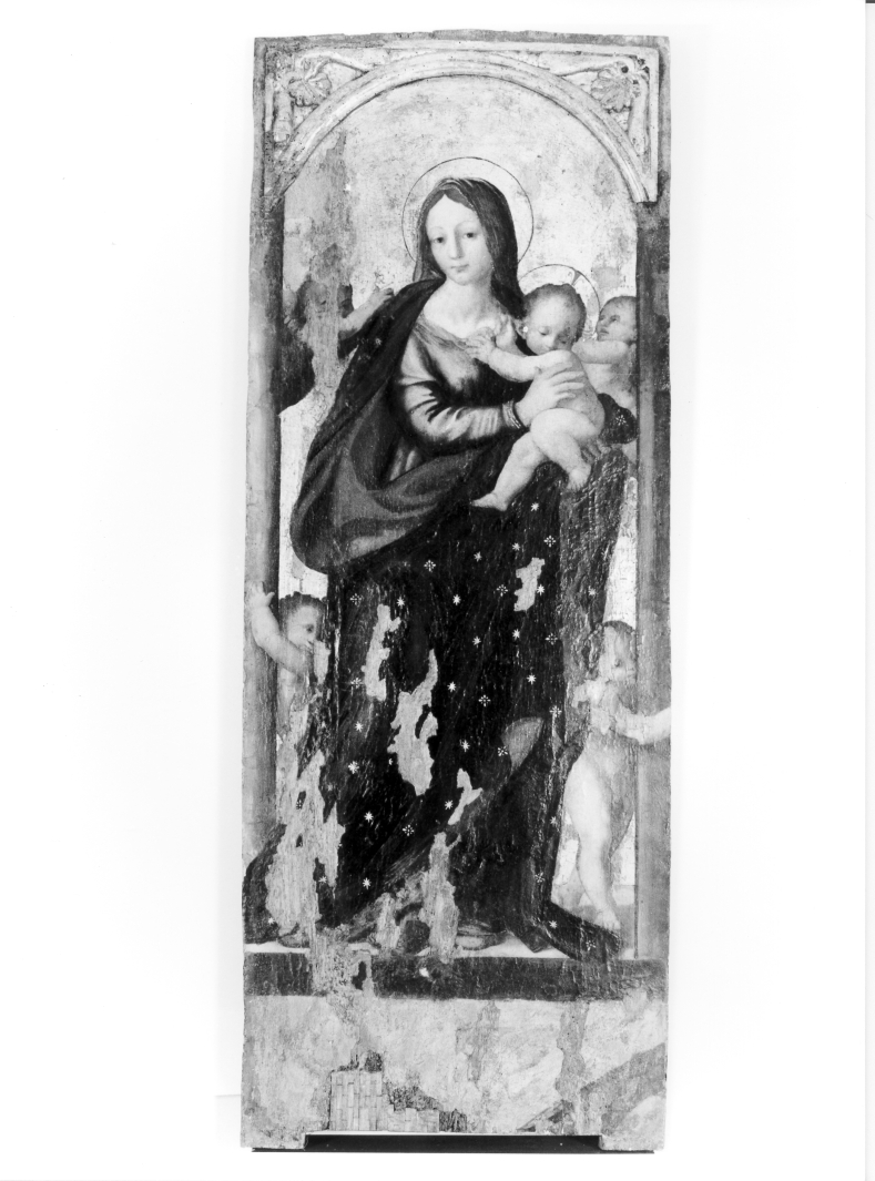 Madonna con Bambino (scomparto di polittico, elemento d'insieme) di Sabatini Andrea detto Andrea da Salerno (sec. XVI)