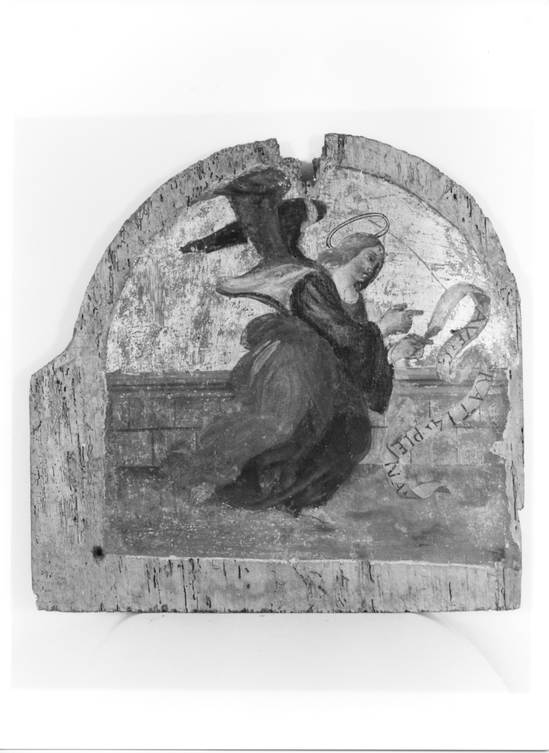 San Gabriele Arcangelo (scomparto di polittico, elemento d'insieme) di Maestro dei polittici francescani (sec. XVI)