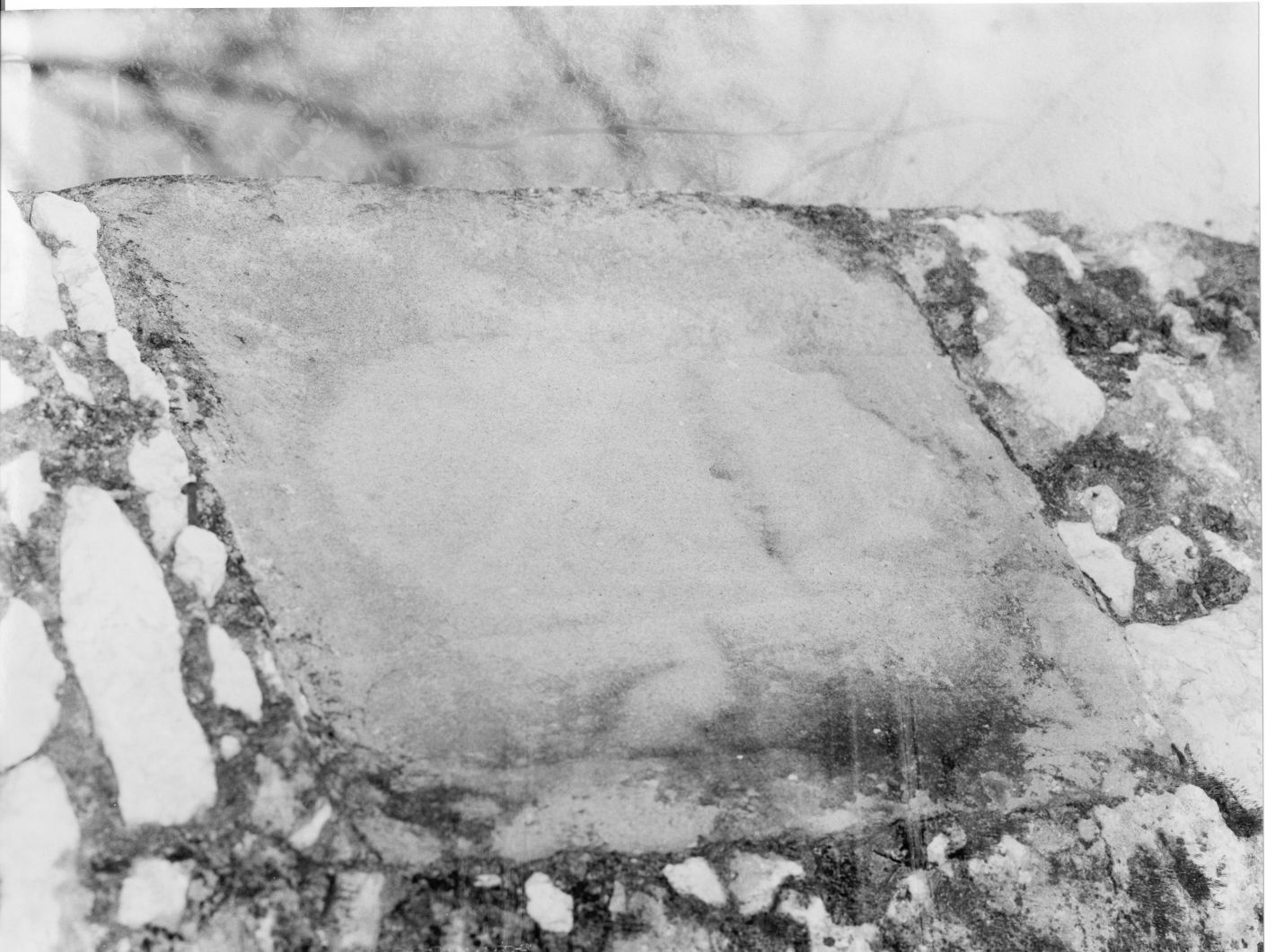 stemma (rilievo) - bottega campana (sec. XV)