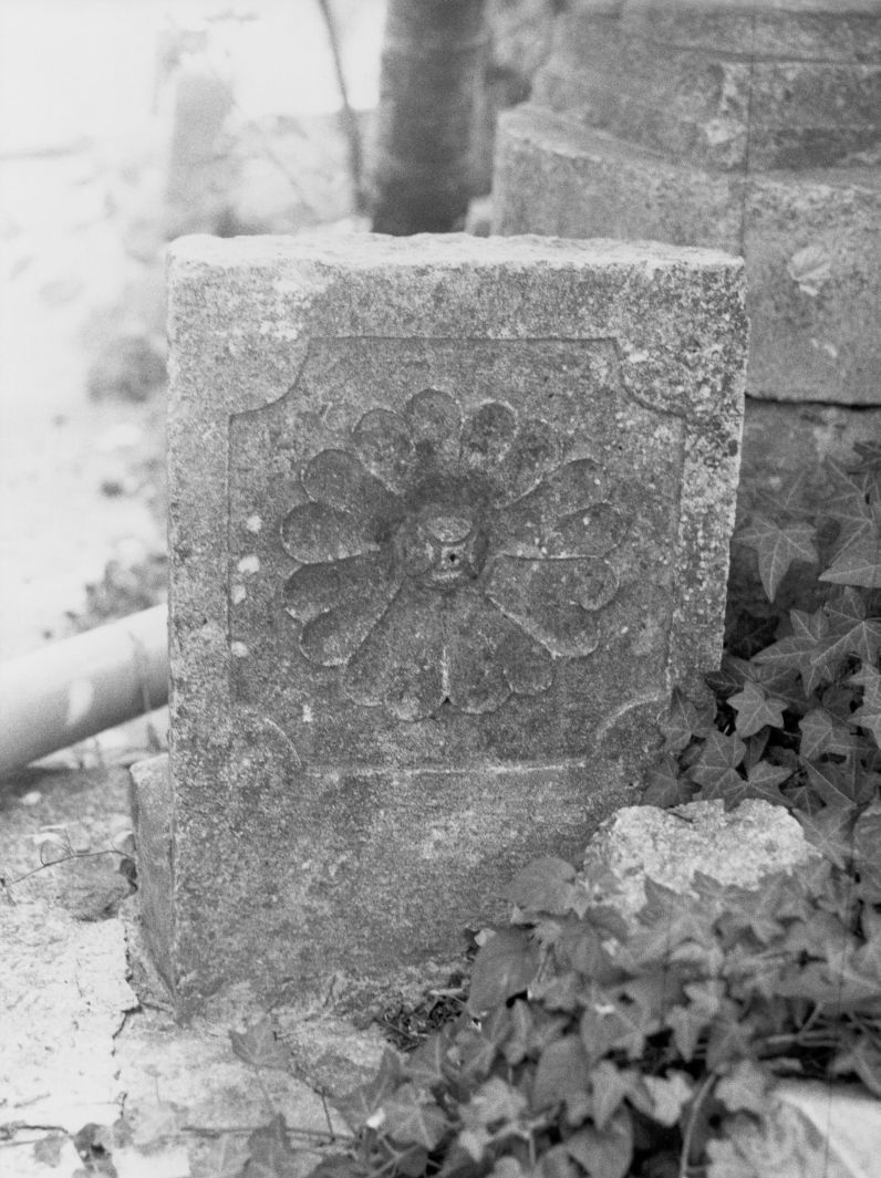 motivo decorativo floreale (portale, frammento) - bottega campana (prima metà sec. XVIII)