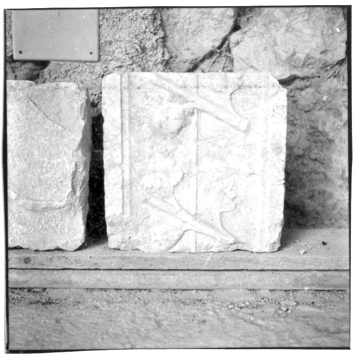 motivi decorativi vegetali (rilievo, frammento) - bottega Italia meridionale (sec. XVI)