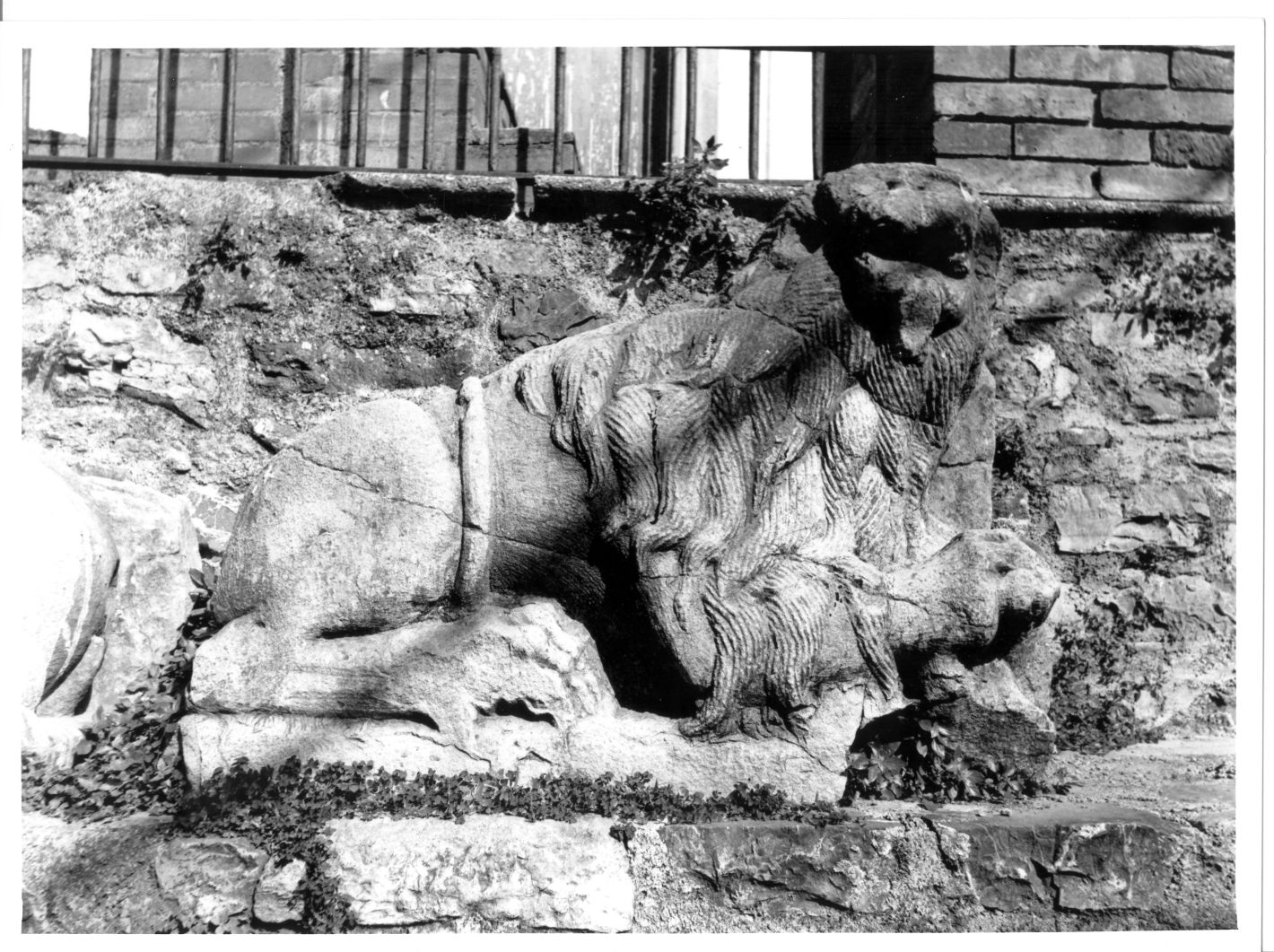 leone (scultura) - bottega campana (sec. XIII)