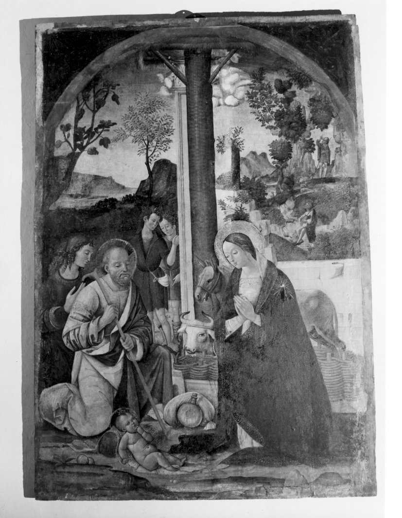 adorazione dei pastori (dipinto) di Faffeo Cristoforo (sec. XV)
