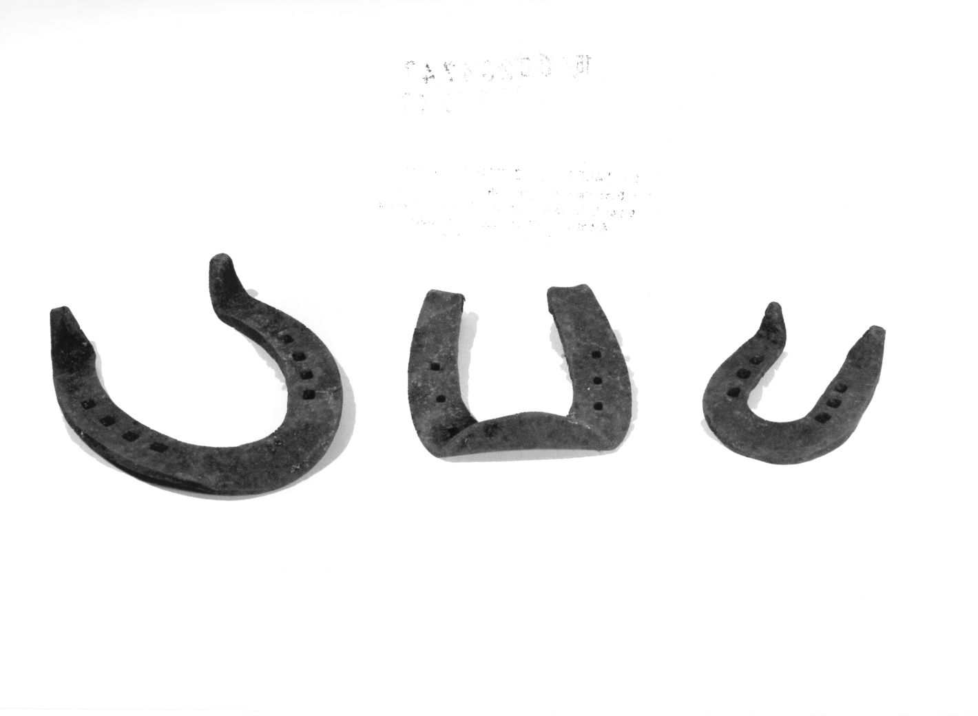 ferro - bottega campana (sec. XIX)