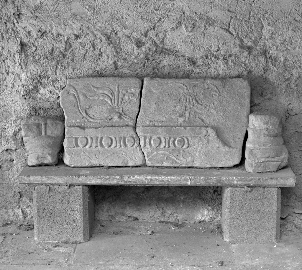 motivi decorativi fitomorfi, a ovoli, a dentelli (rilievo, frammento) - ambito fiorentino (primo quarto sec. XVI)