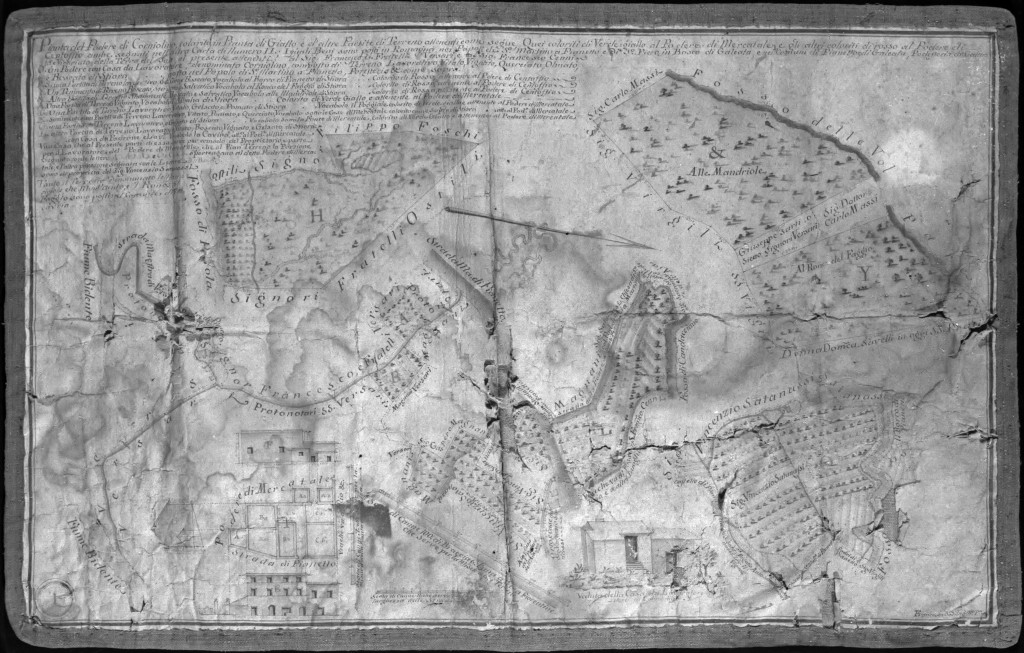 pianta del podere di Corniolino (disegno) - ambito italiano (sec. XIX)