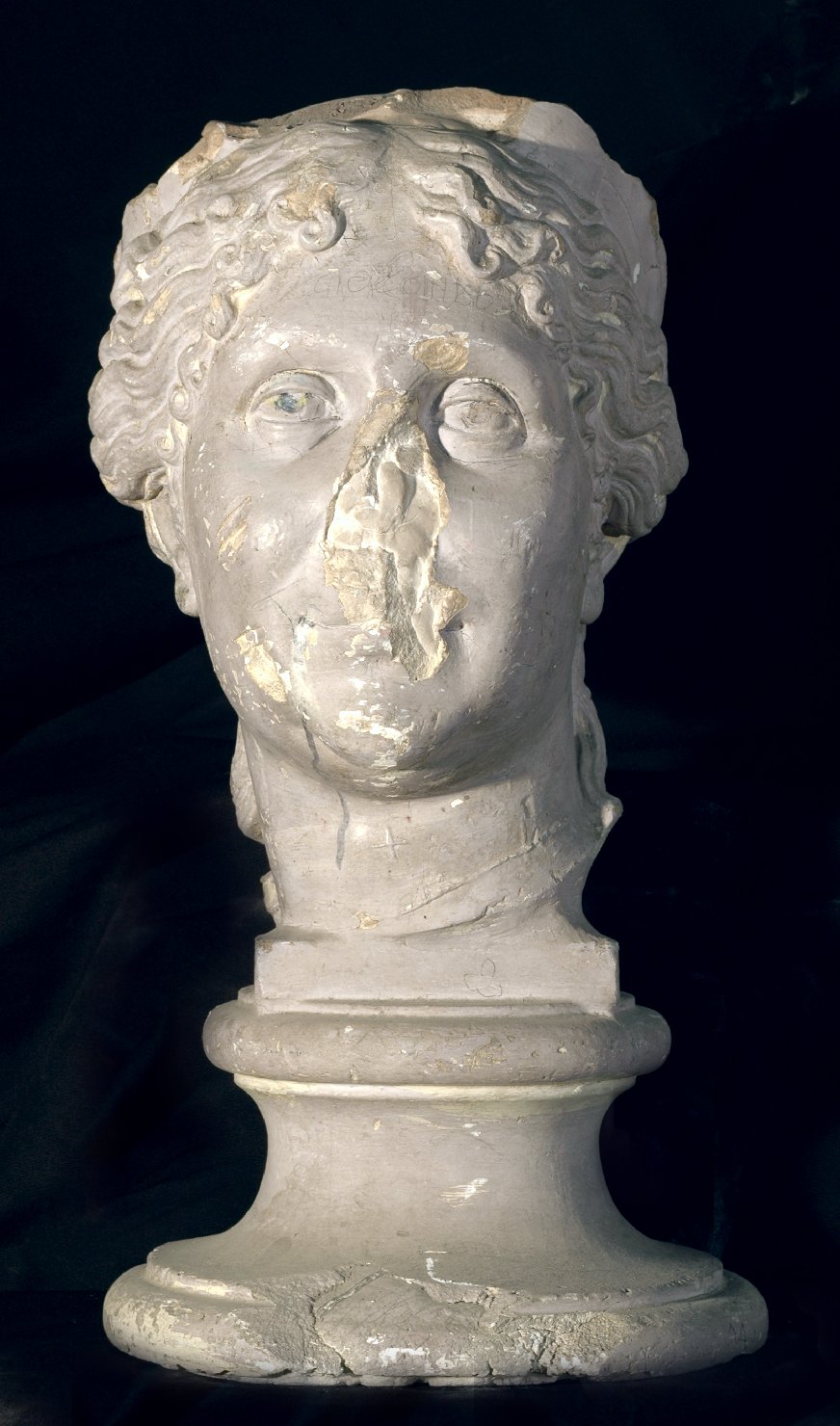 busto femminile (calco di scultura) - bottega Italia centro-settentrionale (prima metà sec. XX)