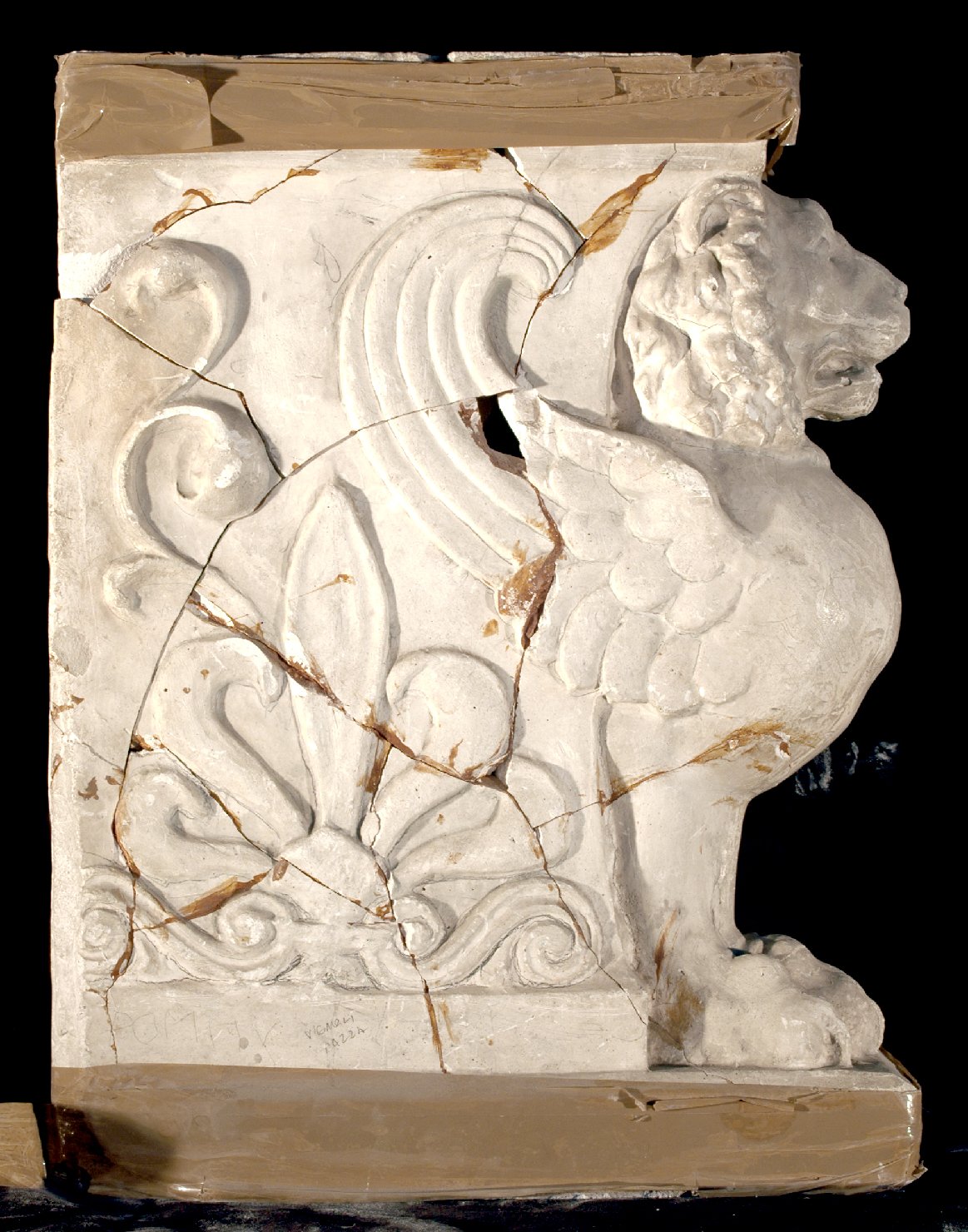 motivo decorativo zoomorfo (calco) - bottega Italia centro-settentrionale (sec. XX)