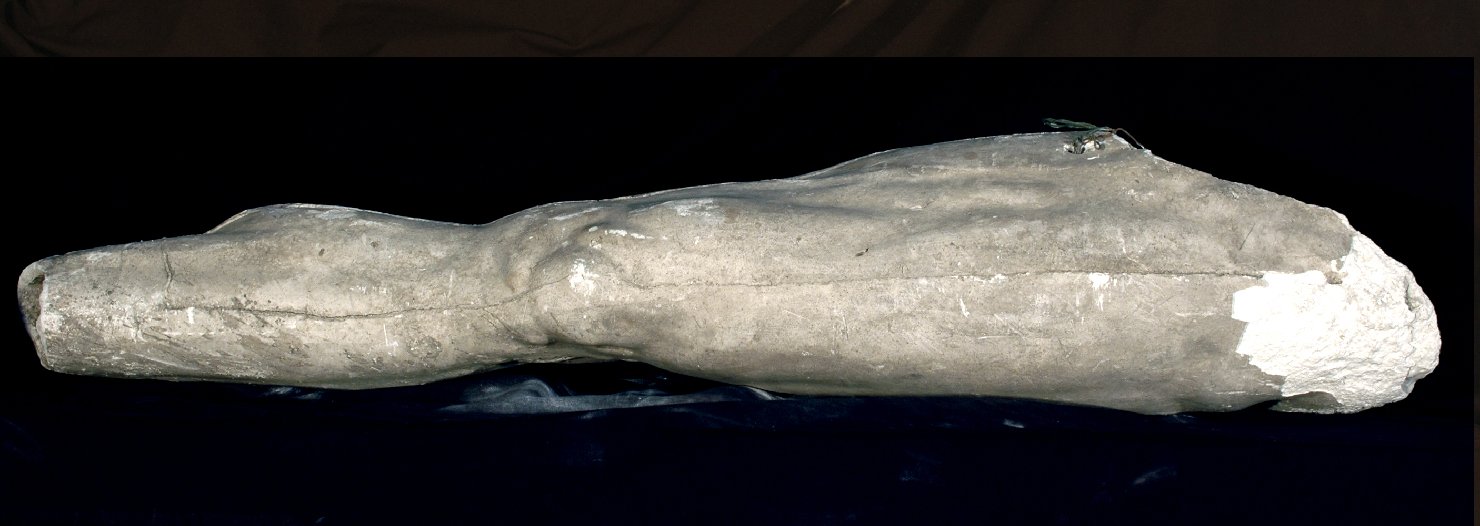 calco di scultura - bottega Italia centro-settentrionale (prima metà sec. XX)