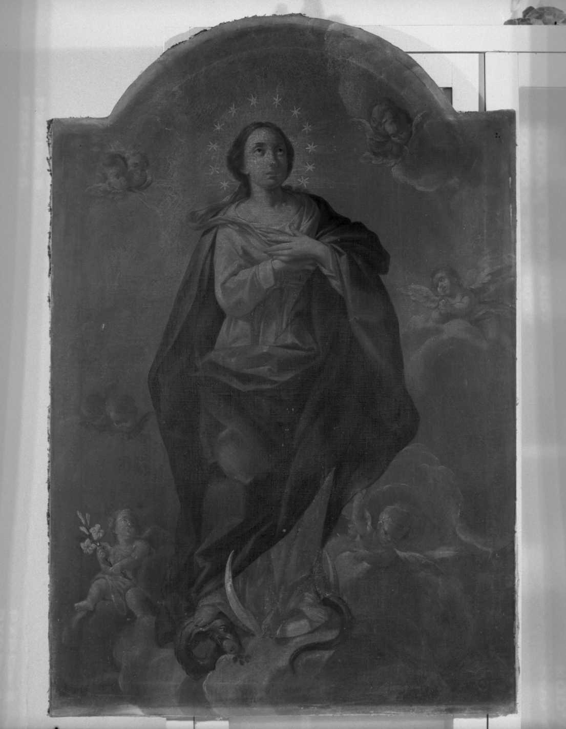 Immacolata Concezione (pala d'altare) - ambito romagnolo (sec. XVIII)