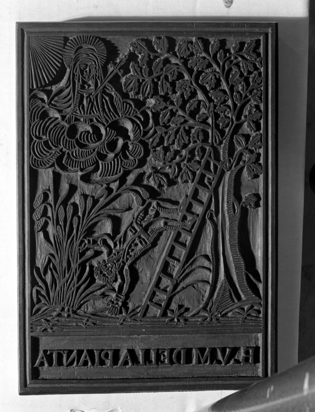 miracolo della Beata Vergine della Pianta (matrice) - ambito romagnolo (fine sec. XVI)