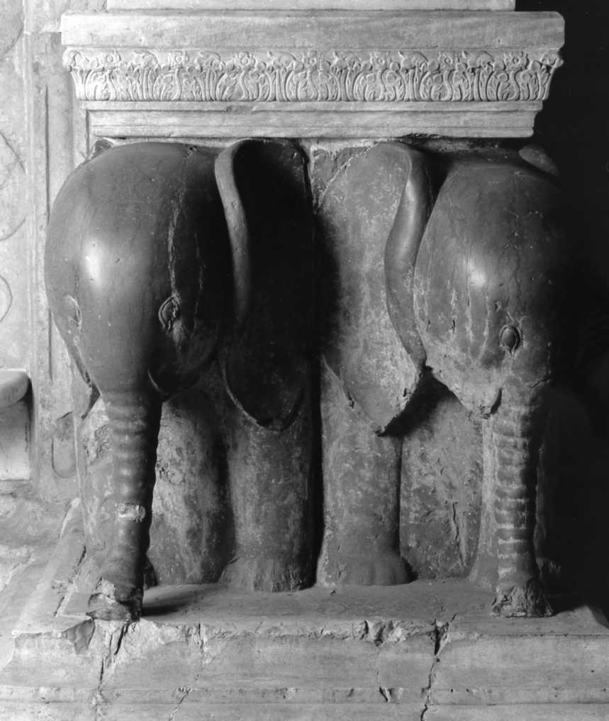 elefante (base di pilastro) di De Pasti Matteo (e aiuti) (sec. XV)