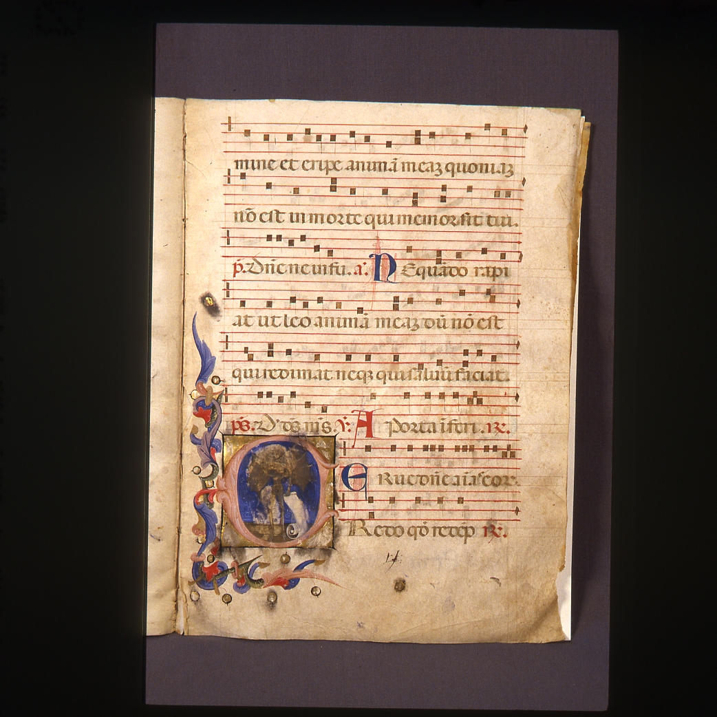 demone in forma di animale fantastico (miniatura) - ambito emiliano-romagnolo (sec. XVI)