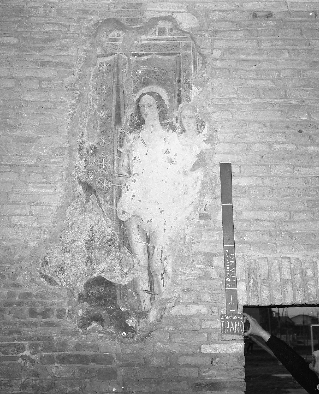 San Sebastiano (dipinto, frammento) - ambito romagnolo (sec. XV)