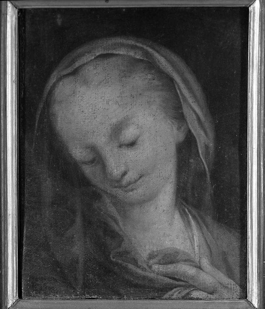 Madonna (dipinto) di Fiori Federico detto Federico Barocci (bottega) (secc. XVI/ XVII)