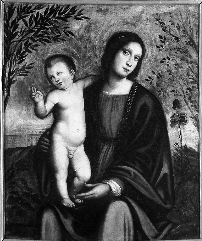 Madonna con Bambino (dipinto) di Francia Giacomo (attribuito) (sec. XVI)