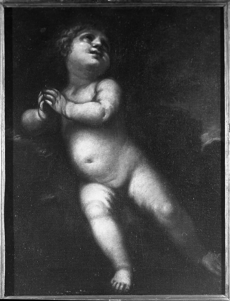 putto (dipinto) di Albani Francesco (attribuito) (prima metà sec. XVII)