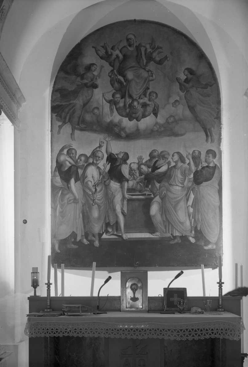 assunzione della Madonna (pala d'altare) di Sacchi Gaspare (sec. XVI)