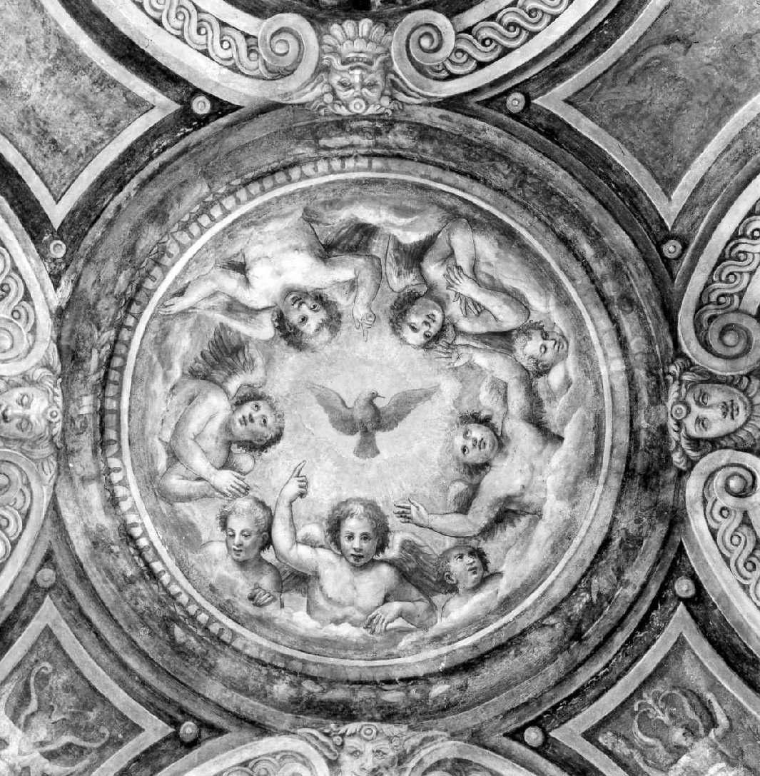 colomba dello Spirito Santo e cherubini (dipinto, complesso decorativo) di Tonducci Giulio (sec. XVI)