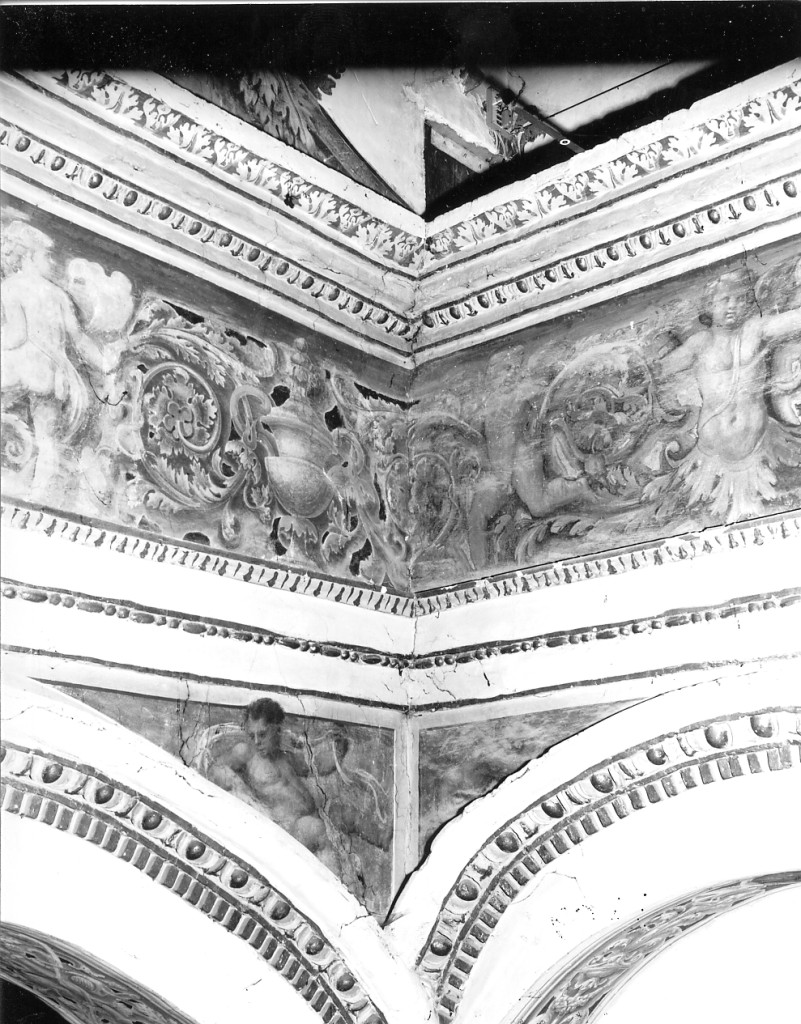 angioletto (dipinto, serie) di Sellari Girolamo detto Girolamo da Carpi, Domenichini Girolamo (sec. XVI)