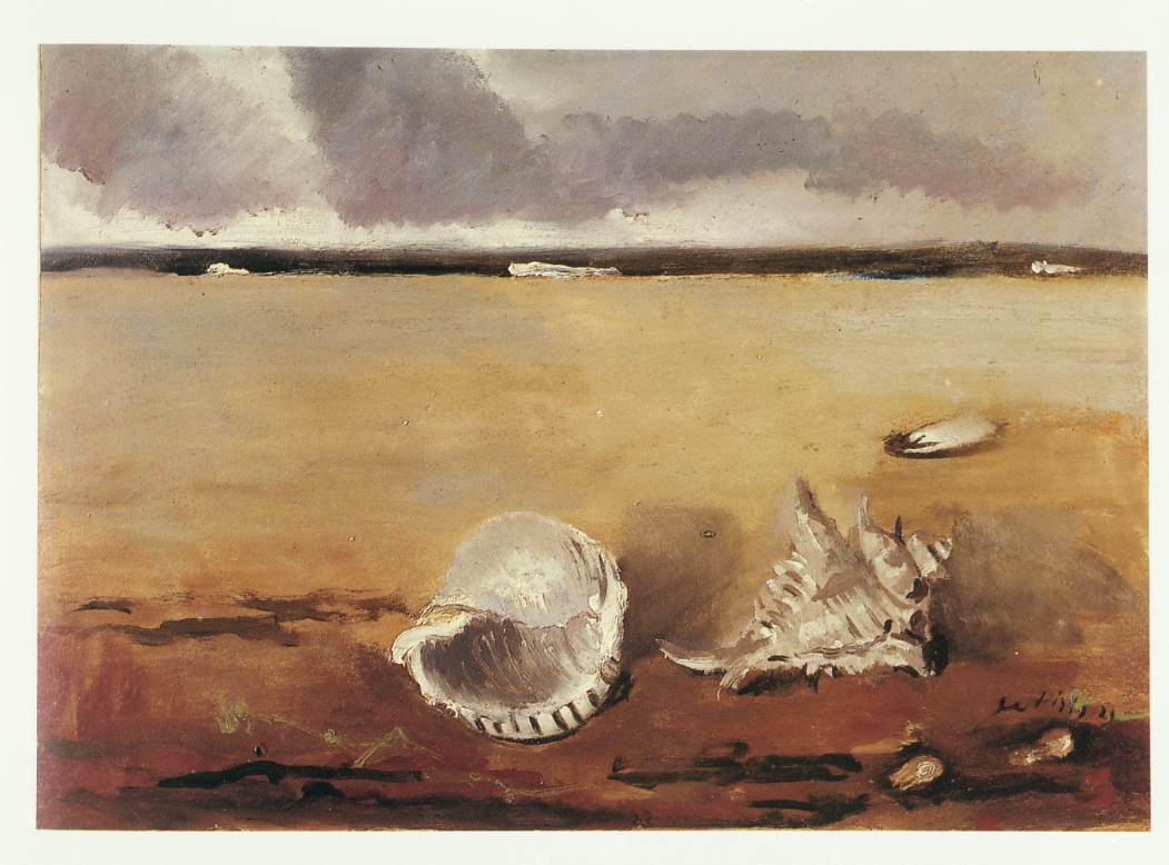 Natura morta marina, natura morta con conchiglie (dipinto) di Tibertelli Luigi detto Filippo De Pisis (sec. XX)