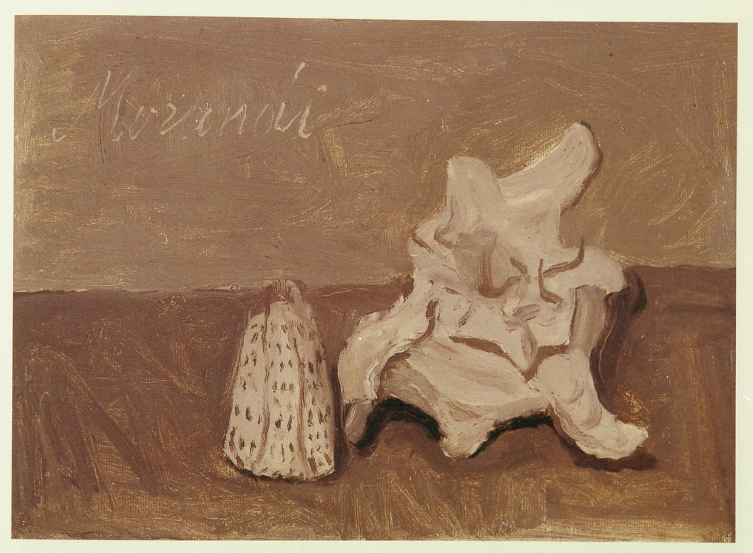 natura morta con conchiglie (dipinto) di Morandi Giorgio (sec. XX)