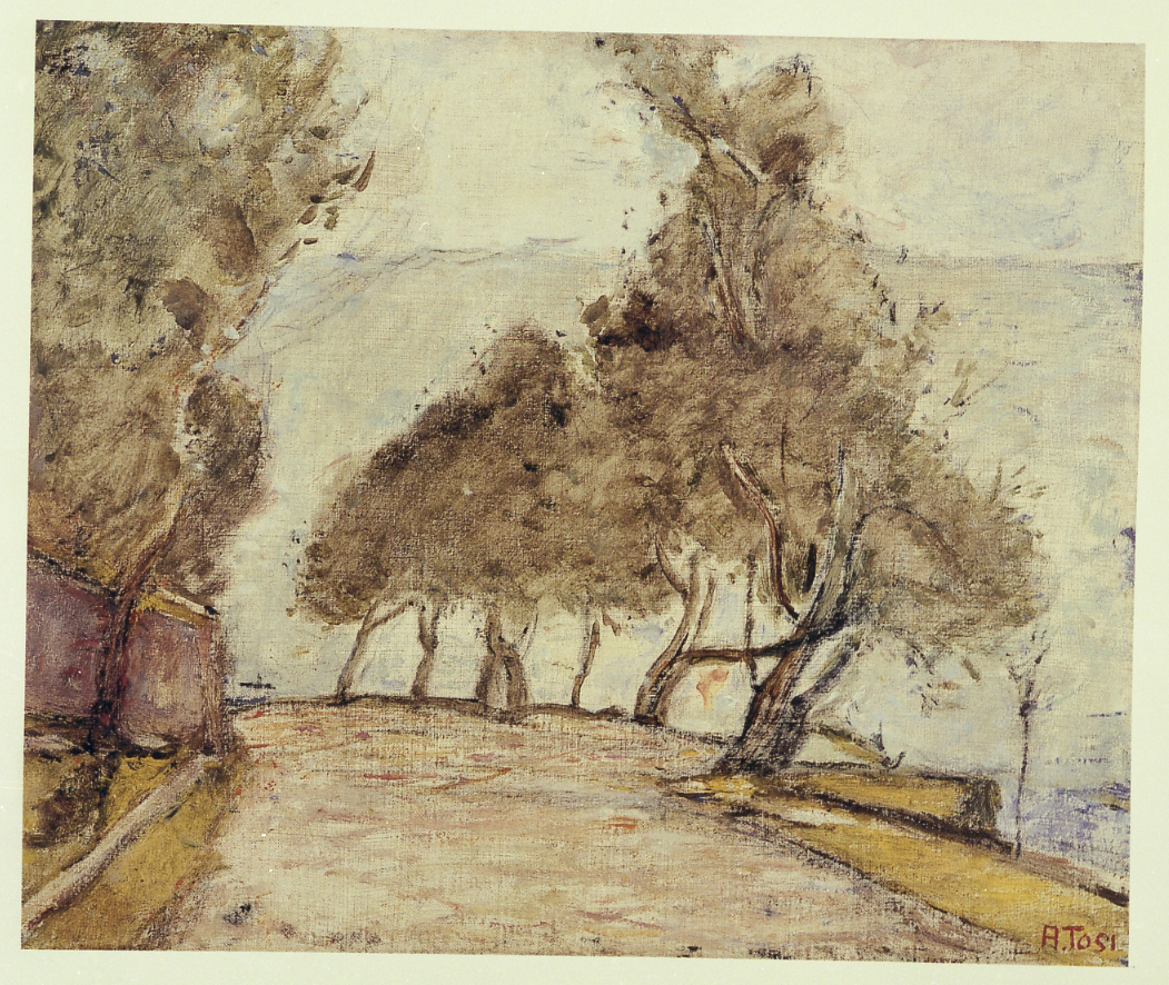 Viale degli ulivi, paesaggio (dipinto) di Tosi Arturo (sec. XX)