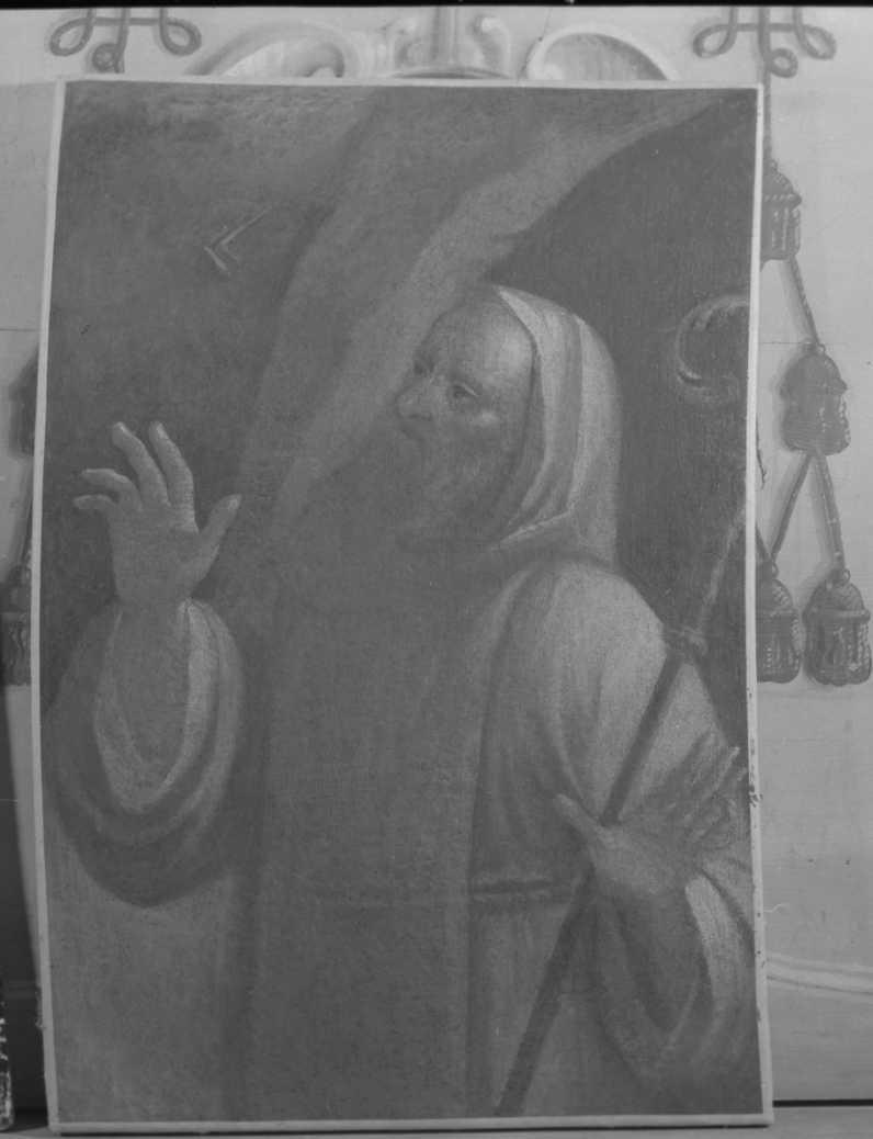 San Romualdo, San Romualdo (dipinto) - ambito romagnolo (seconda metà sec. XVIII)