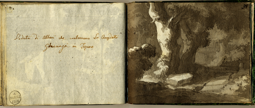 veduta di alberi che contornano la anzidetta ghiacciaia in Tizano, veduta con alberi (stampa, elemento d'insieme) di Basoli Antonio (sec. XIX)