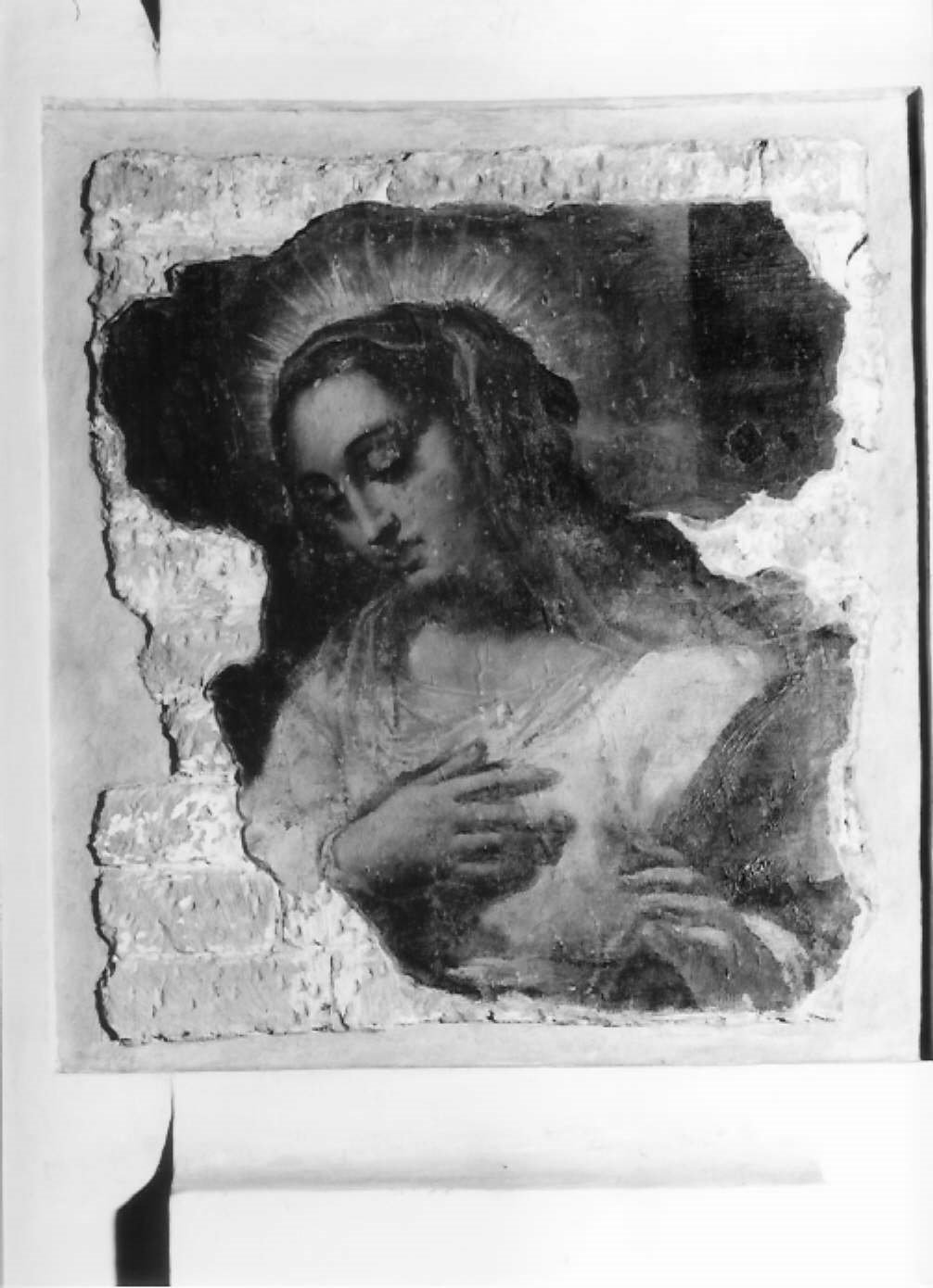 viso della Madonna (dipinto, frammento) di Scarsella Ippolito detto Scarsellino (inizio sec. XVII)