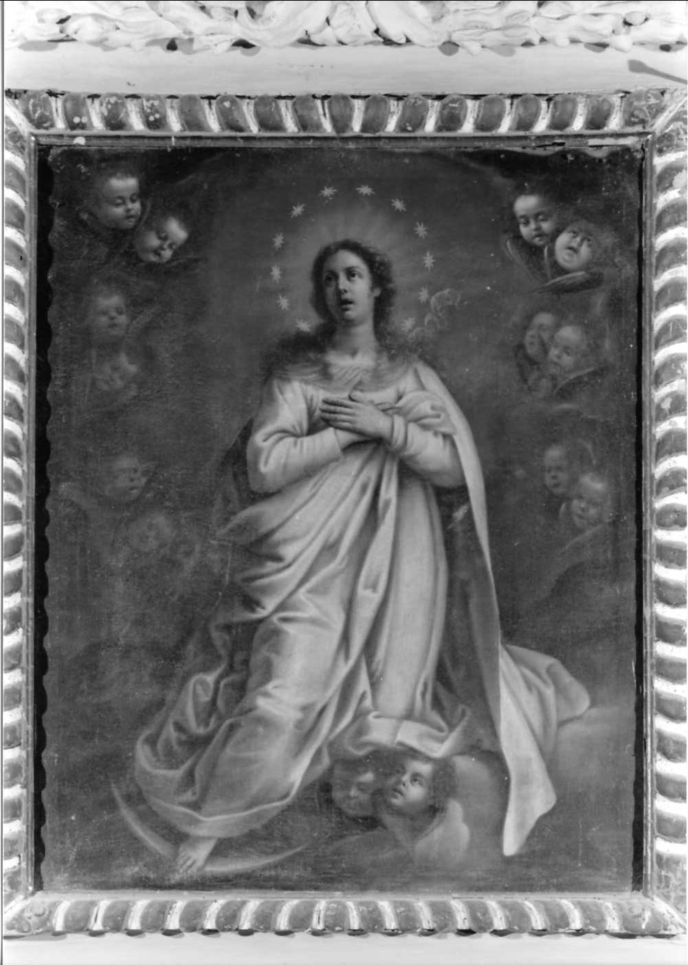 Immacolata Concezione (pala d'altare) - ambito romagnolo (primo quarto sec. XVIII)