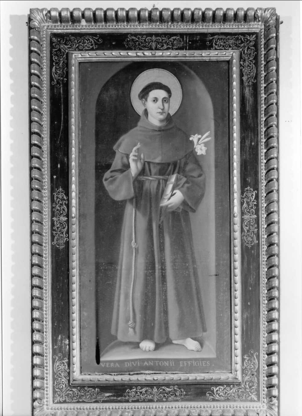 Sant'Antonio da Padova (dipinto) - ambito romagnolo (sec. XVII)