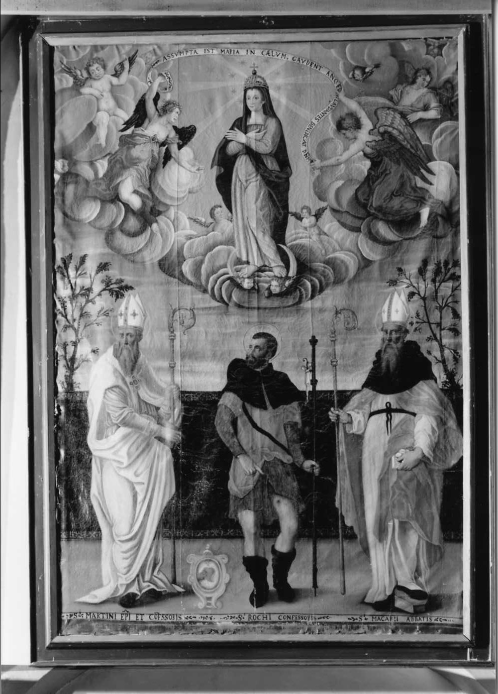 Madonna Assunta con Santi (dipinto) - ambito tosco-romagnolo (sec. XVII)