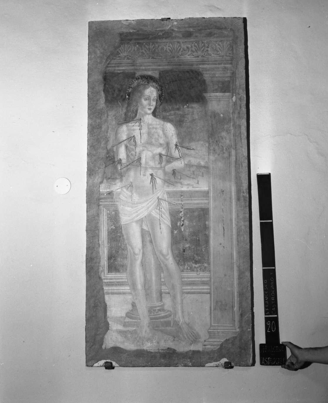 San Sebastiano (dipinto, frammento) - ambito romagnolo (sec. XV)