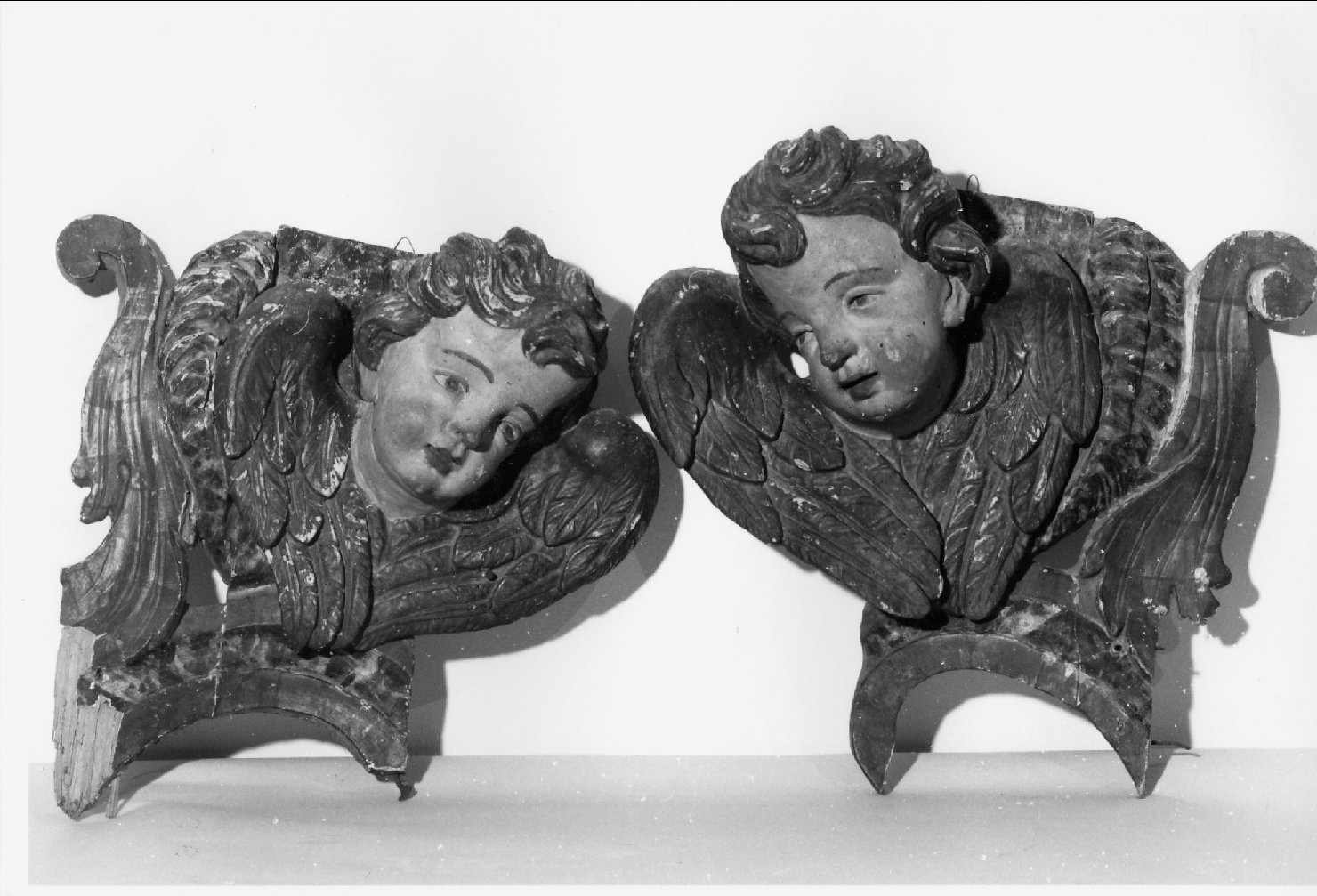 cherubino (rilievo, frammento) - bottega romagnola (sec. XVIII)