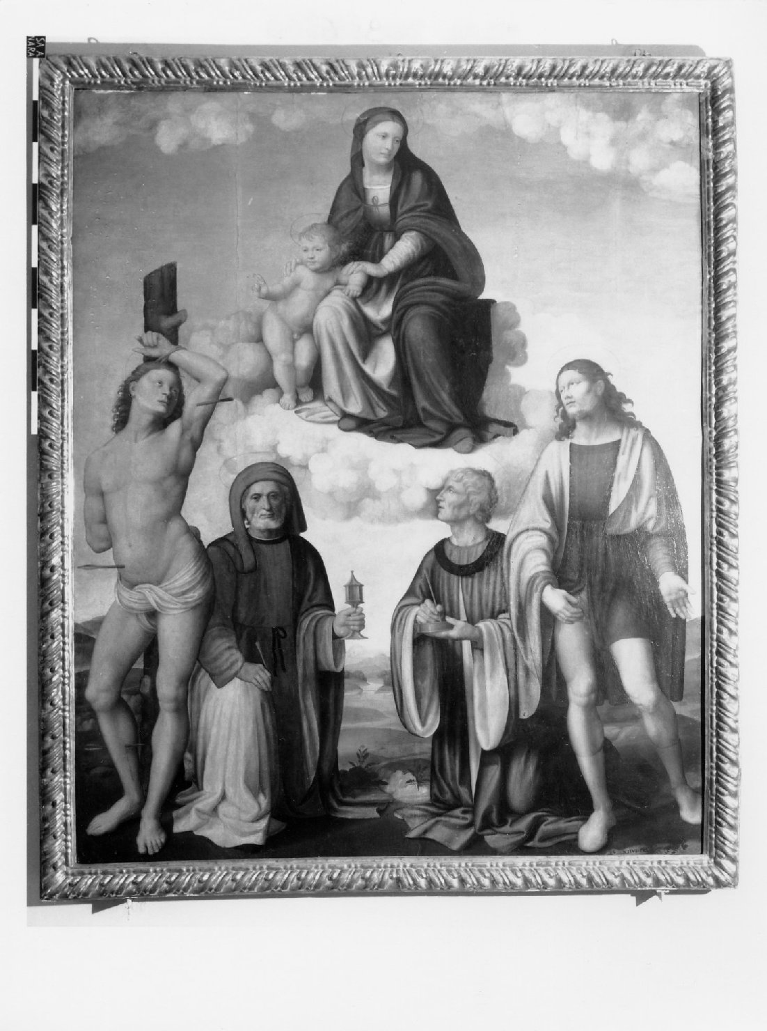 Madonna con Bambino e San Sebastiano, San Cosma, San Damiano, San Rocco (dipinto) di Francucci Innocenzo detto Innocenzo da Imola (sec. XVI)
