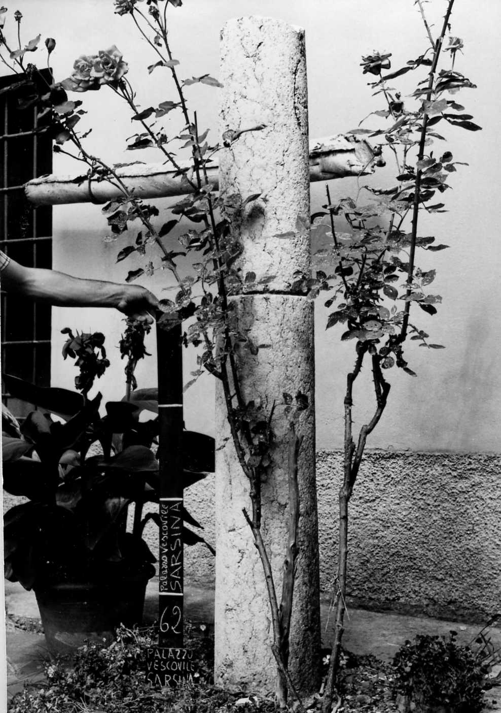 colonnina, frammento - bottega Italia centro-settentrionale (secc. I/ XV)