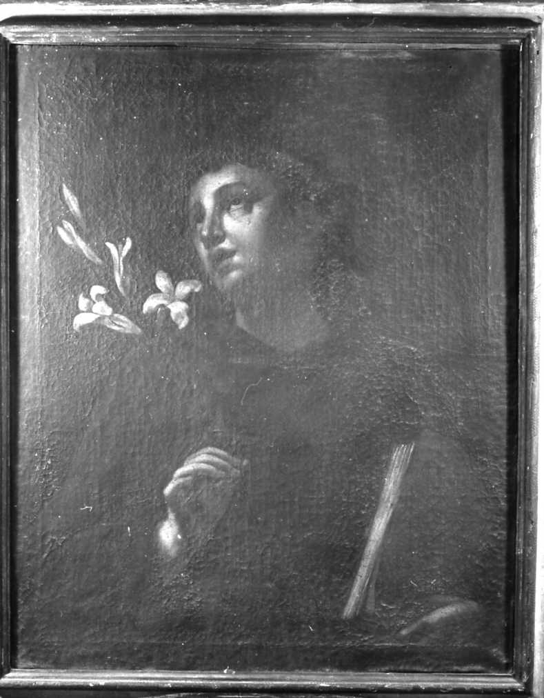 Sant'Antonio da Padova (dipinto) - ambito romagnolo (sec. XVIII)