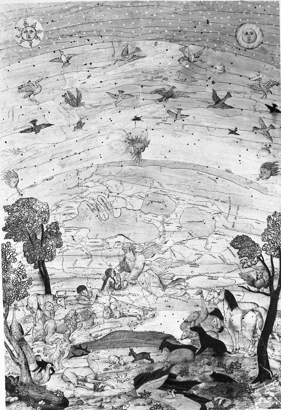 creazione (stallo, elemento d'insieme) di Zambelli Damiano detto Fra' Damiano da Bergamo (e aiuti) (sec. XVI)