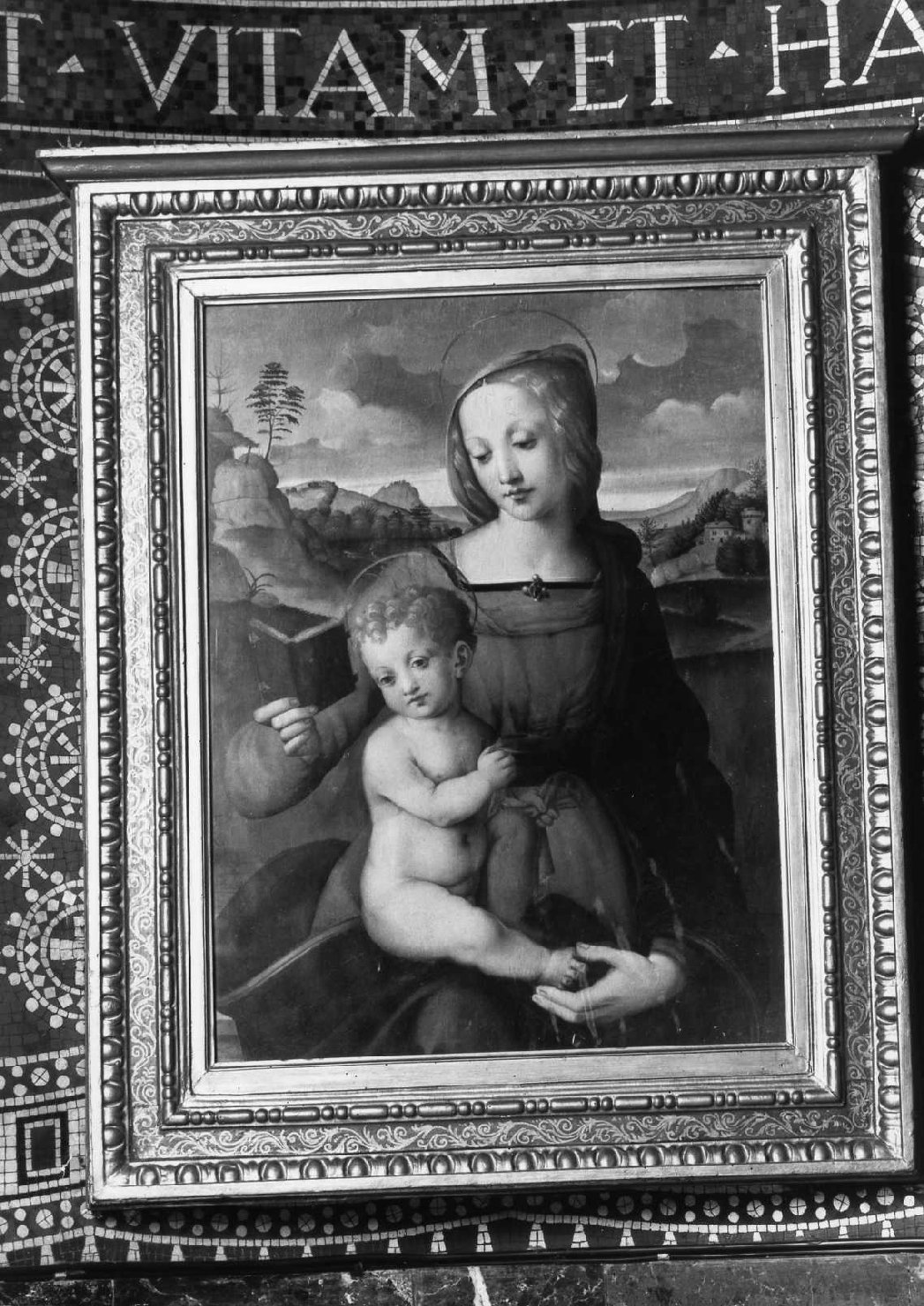 motivi decorativi vegetali a volute (cornice) - ambito fiorentino (prima metà sec. XIX)