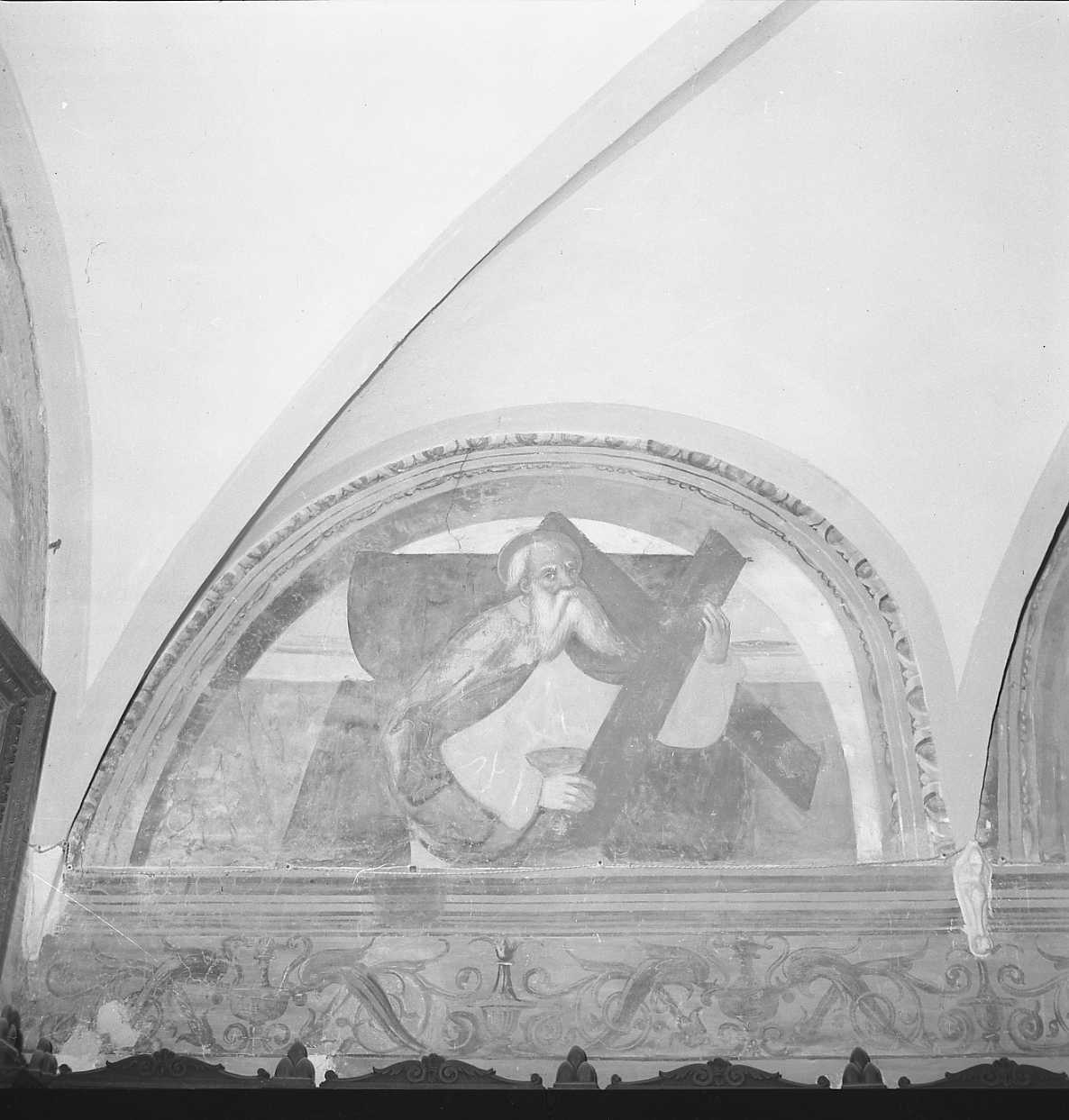 sant' Andrea apostolo (dipinto, elemento d'insieme) di Marchesi Girolamo detto Girolamo da Cotignola (attribuito) (inizio sec. XVI)
