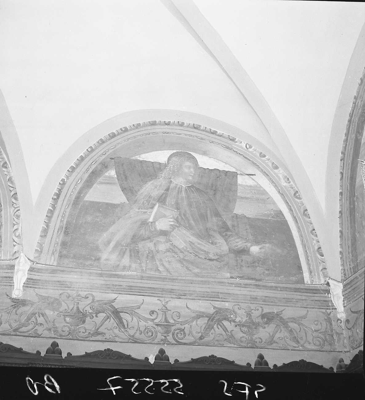 apostolo (dipinto, elemento d'insieme) di Marchesi Girolamo detto Girolamo da Cotignola (attribuito) (inizio sec. XVI)