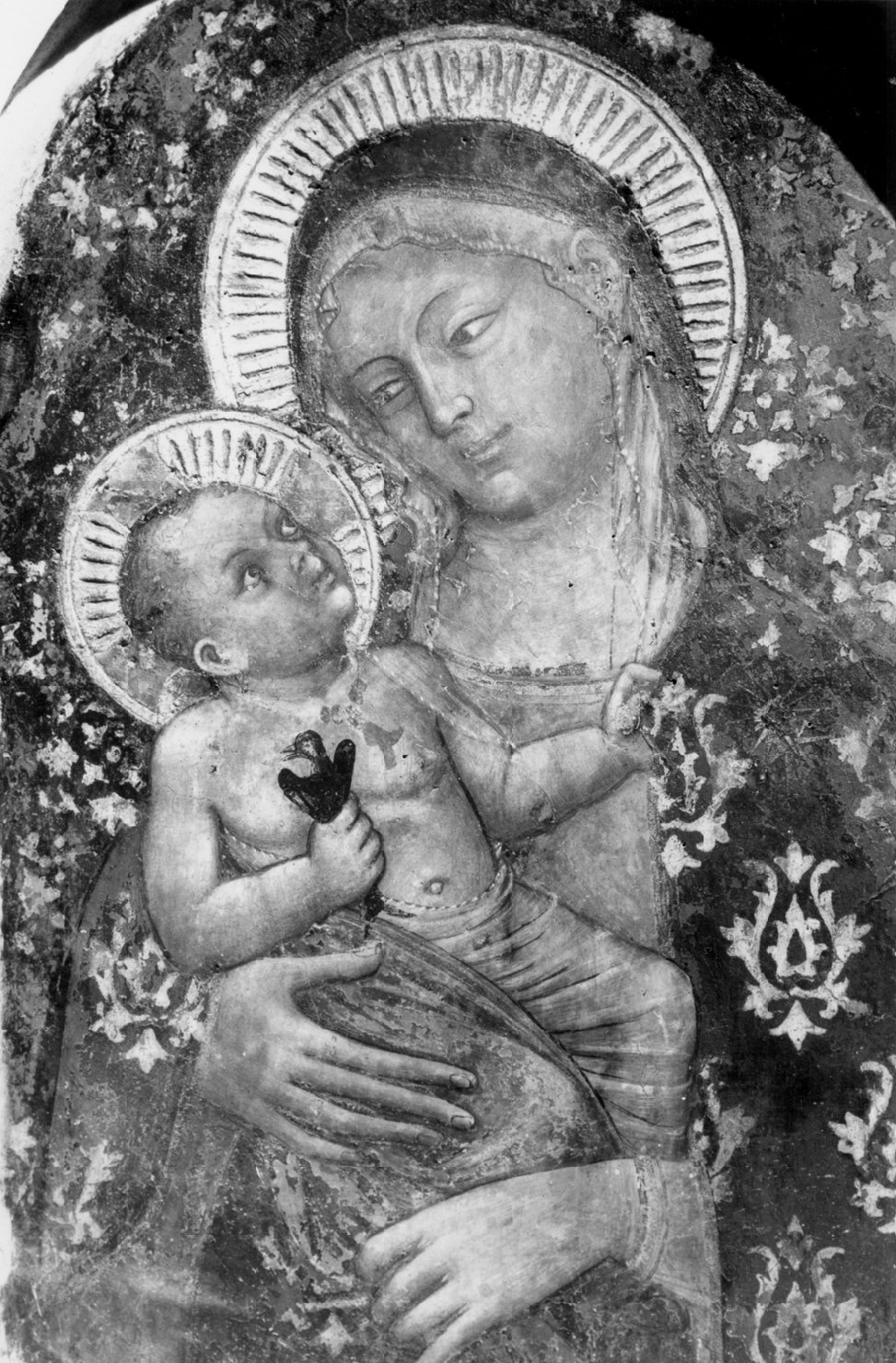 Madonna con Bambino (dipinto) di Scannabecchi Lippo detto Lippo di Dalmasio (seconda metà sec. XIV)