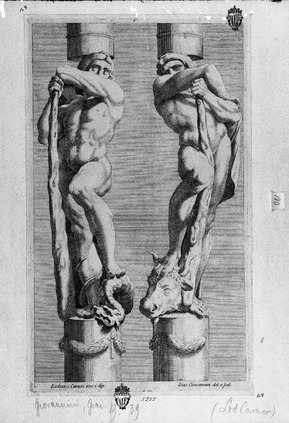 due statue d' Ercole (stampa) di Carracci Ludovico, Giovannini Giacomo (fine/inizio secc. XVII/ XVIII)