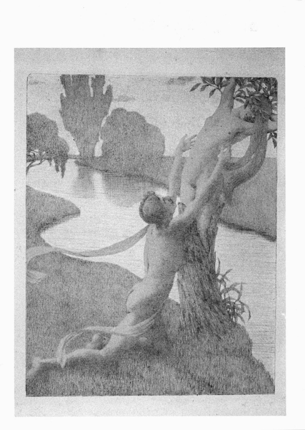 Daphne, Apollo e Dafne (stampa a colori) di List Wilhelm (sec. XX)