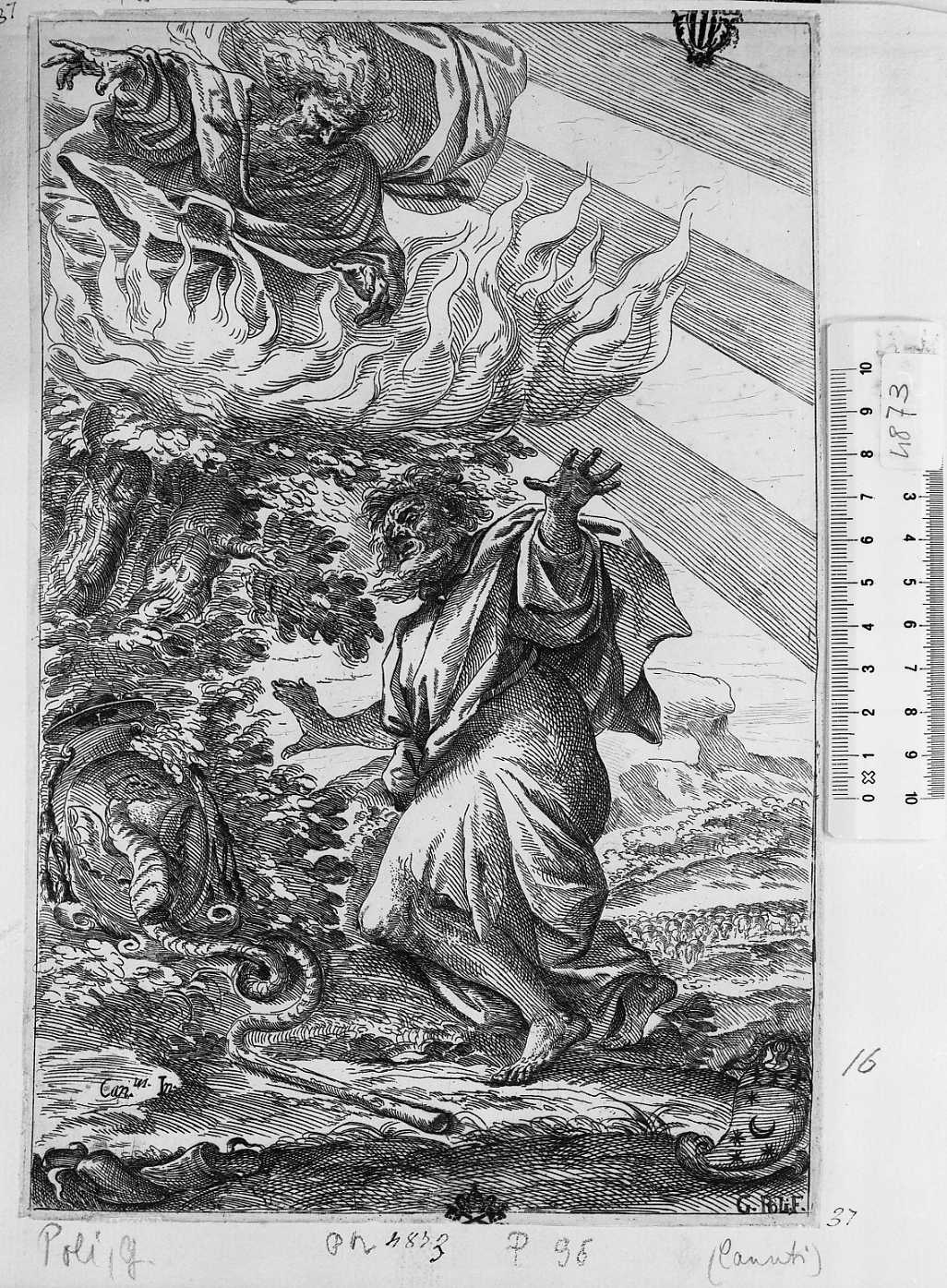 Mosè e il serpente (stampa tagliata) di Canuti Domenico Maria, Rolli Giuseppe Maria (secc. XVII/ XVIII)