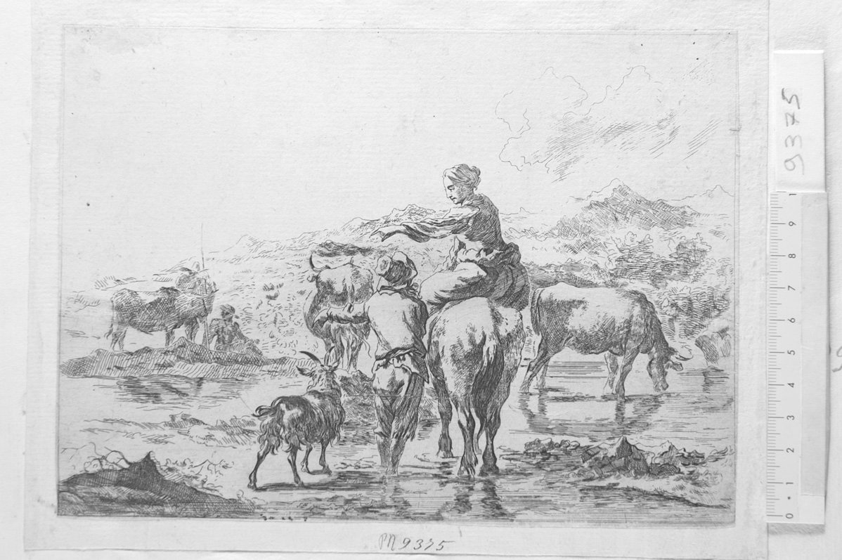 Contadina su una vacca che guarda un fiume (stampa smarginata) di De Visscher Jan (attribuito), Berchem Nicolaes (sec. XVII)